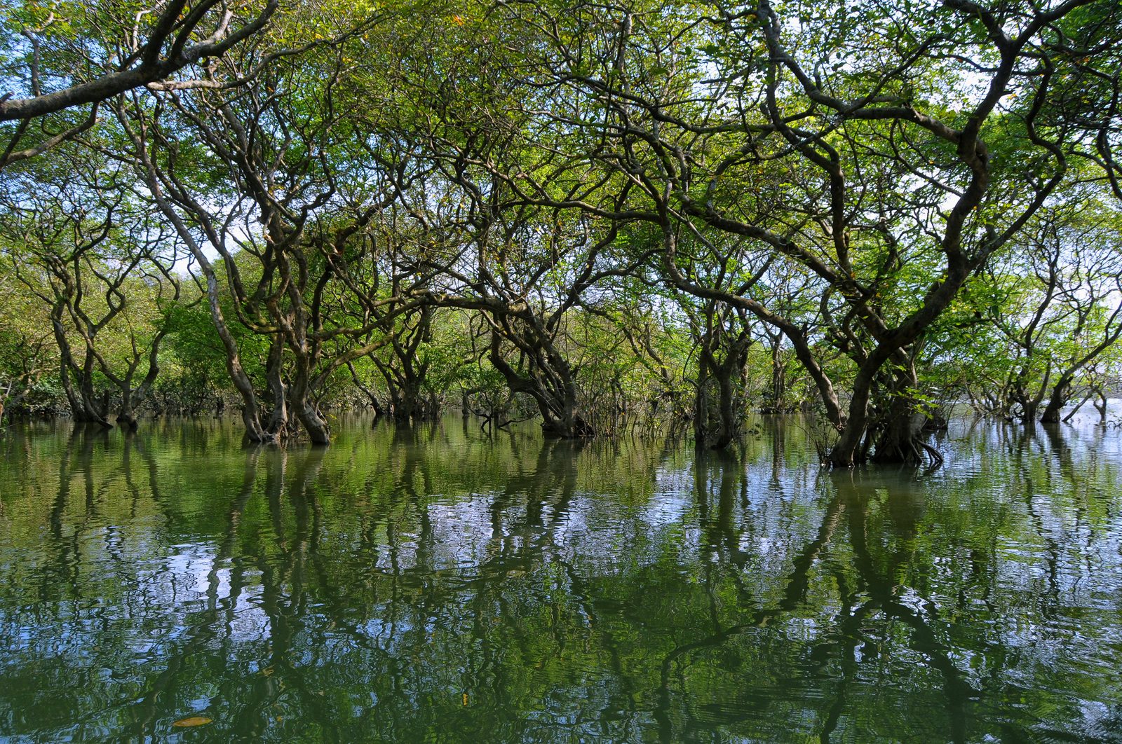 Bangladesh
