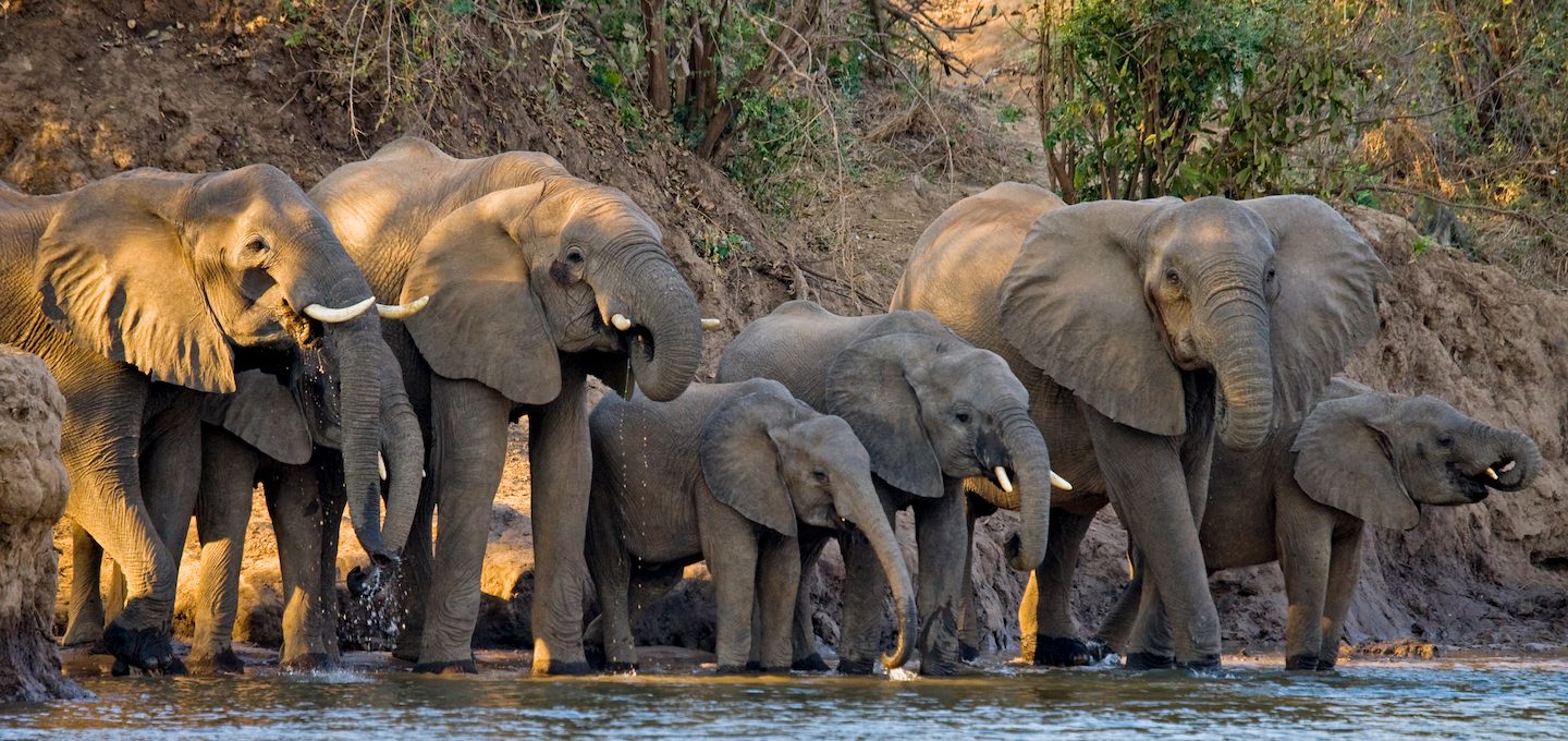 Sambia